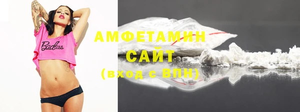 амф Пестово