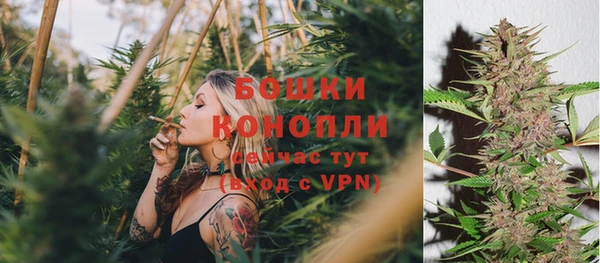 стафф Покровск