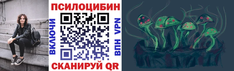 Купить закладки  Шатура  Галлюциногенные грибы GOLDEN TEACHER 